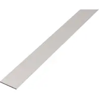 Alberts Plat Profiel - Aluminium Zilver - 50x3mm 1m