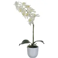 Mica Kunstbloem Phalaenopsis in pot tusca wit, hoogte 60 cm, wit