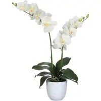 Mica Decorations Orchidee bloem kunstplant - parel wit - H66 x B38 cm