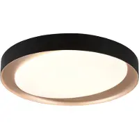 TRIO REALITY ZETA - Plafondlamp - Zwart - incl. 1x SMD 24W