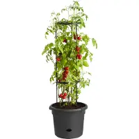 Elho Green Basics Tomaten Pot 33 - Kweekpot voor Tomaten - 100% Gerecycled Plastic - Ø 33.5 x H 26.0 cm - Living black