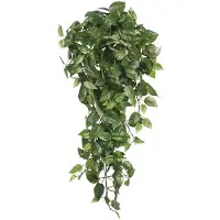 Mica Decorations Scindapsus Kunst Hangplant - L15 x B30 x H80 cm - Groen