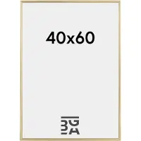 Walther design Galeria - Kunststof lijst - Fotoformaat 40x60 cm - Metallic Goud
