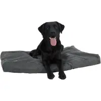 Kruuse Memory Foam Dog Bed