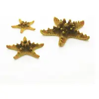 BiOrb zeester set - geel