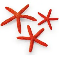 Oase biOrb set zeesterren rood
