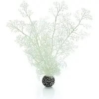 BiOrb hoornkoraal wit - middel
