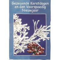 Bouwman Kerstkaarten nr. 15 25 stuks