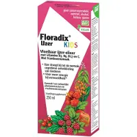 Floradix 2x IJzer Elixer Kids 250 ml