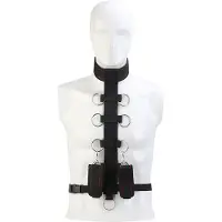 Dream Toys - Deluxe - Bondage harnas met halsband