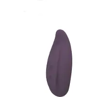Erotic Treasure Royal Fantasies Thalia - Paarse Clitoris opleg vibrator