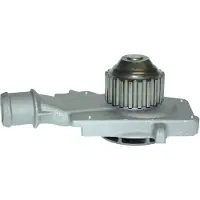 Saleri SIL PA488P Waterpomp