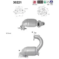 As 30221 Katalysator
