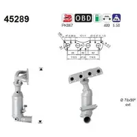 As 45289 Katalysator