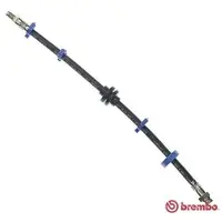 Brembo T 23 012 Remslang