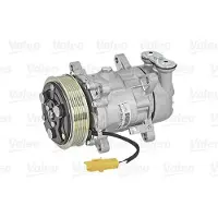 Valeo 813317 Aircopomp