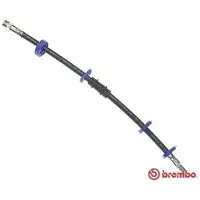 Brembo T 23 010 Remslang