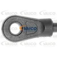 VAICO Gasveer, motorkap V10-2071