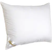 Ducky Dons Hoofdkussen 90% Eendendons 60x70 cm