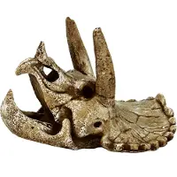 Superfish Skull Triceratops M aquaria