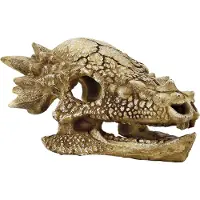 Superfish Skull T Rex M aquaria