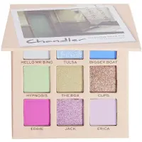 Revolution X Friends Chandler Palette 9 g