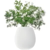 LSA International Vaas Benthe | L.S.A. glas wit 23.9x23.9x27.2 cm vazen | NADUVI