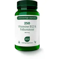 Aov 2x 250 Vitamine B12 & Foliumzuur (800 mcg) 60 vegacapsules