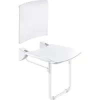 Delabie Opklapb. douchezitje extra comfort + rugsteun + voet epoxy