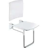 Delabie Opklapb. douchezitje extra comfort + rugsteun + voet RVS