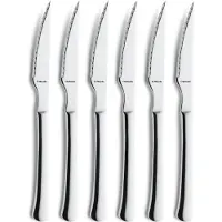 Amefa Chuletero - Steakmessen - 6 delige steakmessenset - RVS - Zilver - Vaatwasserbestendig - Vleesmes