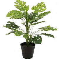 J-Line Philodendron in pot plastiek groen small