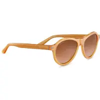 Bushnell Zonnebril 'Sunglasses SS527002 Danby 56' bruin