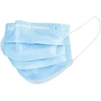 Huismerk Mondmaskers 3-laags - zwart - 50 stuks