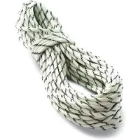 Tendon - Pro Work 11 - Statisch touw 70 m, grijs