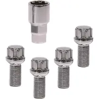 Carpoint Slotmoeren set conisch M14x1.5
