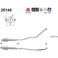 As 25145 Katalysator