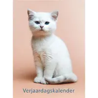 Lannoo Kittens Verjaardagskalender