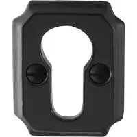 GPF bouwbeslag GPF Cilinderrozet rechthoekig 51x40x6mm smeedijzer