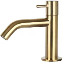 Differnz Fonteinkraan | (Koudwaterkraan, Goud, Gebogen)