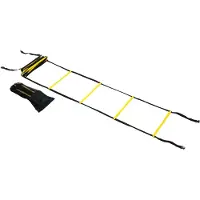 Torque Agility Ladder
