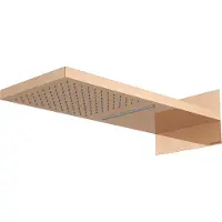 Regn Hoofddouche Met Water- En Regenval Geborsteld Koper PVD - Messing - Kranen, Douchekranen, Hoofddouches - 8720297692093 - Kranen, Douchekranen, Hoofddouches