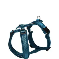 Petlando Y-Tuig Mesh Petrol - Hondenharnas - M 46-74/50-74 Cm