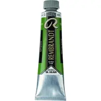 Rembrandt Olieverf | Sap Green (623) 15 ml