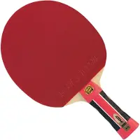 Atemi Tafeltennisbat pro 2000 ittf