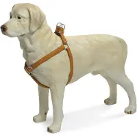 Beeztees - Hondentuig - Mac Leather - Bruin - 50-75 cm