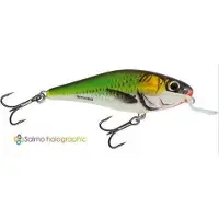 Salmo executor 9SR Emerald Fish - 9cm - 14 gr floating