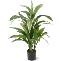 Maxifleur Kunstplanten Draceana kunstplant 80cm - bont