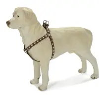 Beeztees Borsttuig MacLeather Cross. Bruin. Verstelbaar.