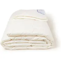 Van Morgen Spring of Summer - 200x220cm - zomerdekbed - 100% zuivere Texelse scheerwol - warmte- en vochtregulerend - hypoallergeen